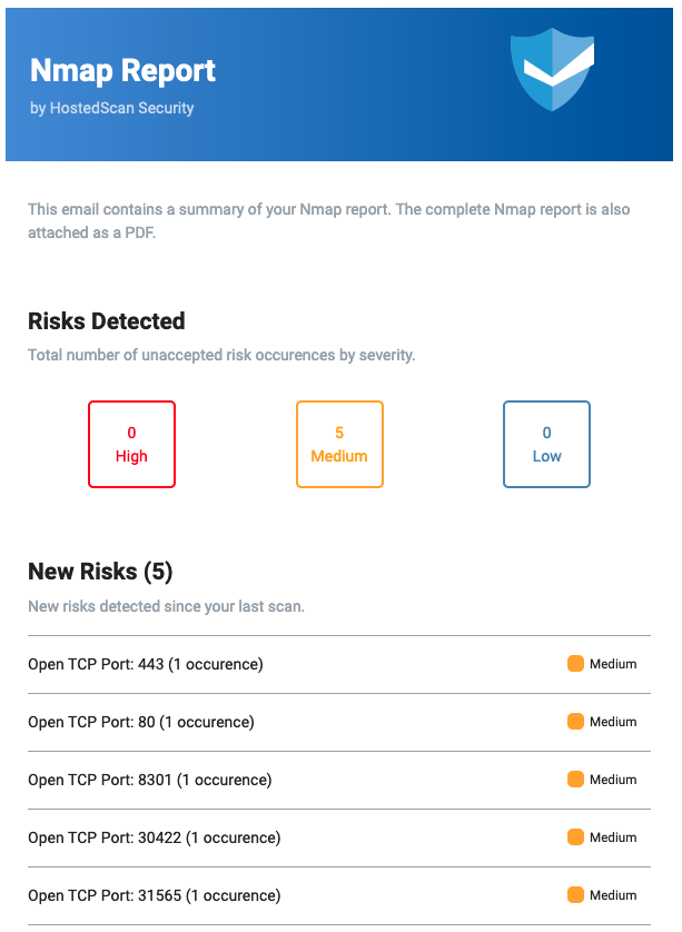 Example Online Port Scanner Report Screenshot